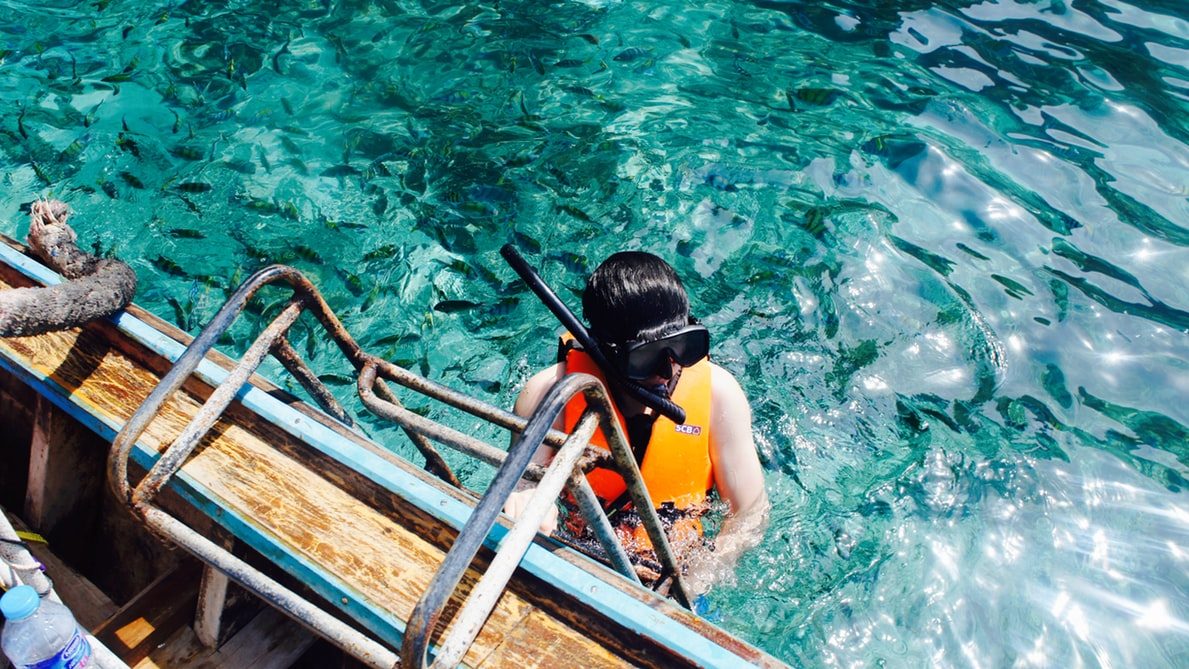 Reelactiondiving.com