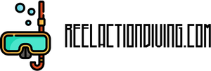 Reelactiondiving.com